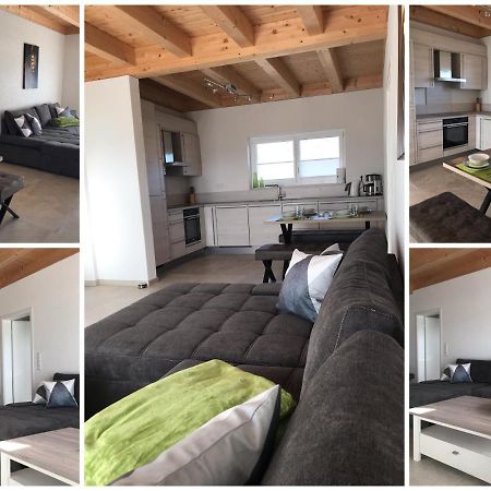 Ferienwohnung Reitanlage Winterhalder Rielasingen-Worblingen Exteriör bild